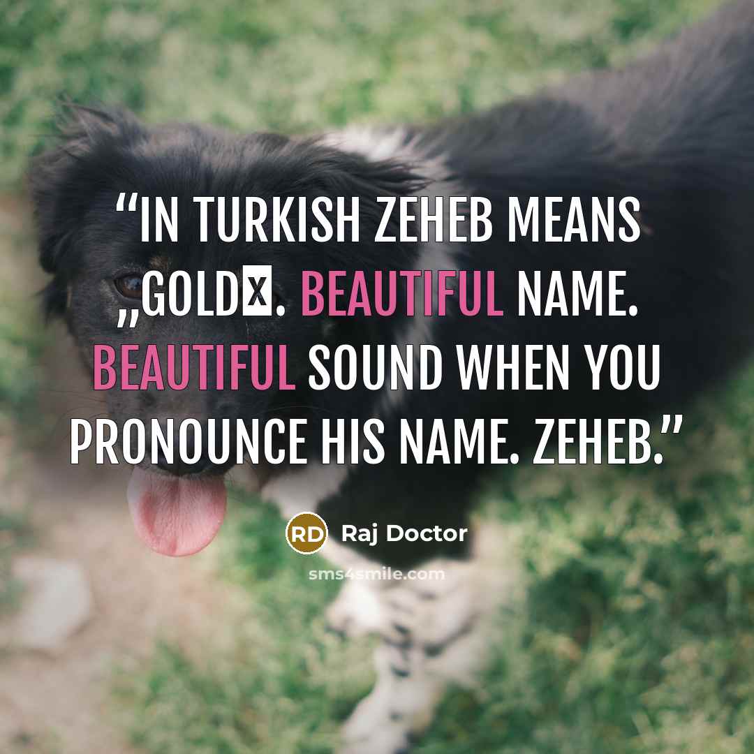 “In Turkish Zeheb means „gold‟. Beautiful name. Beautiful sound when you pronounce his name. Zeheb.” quote by Raj Doctor