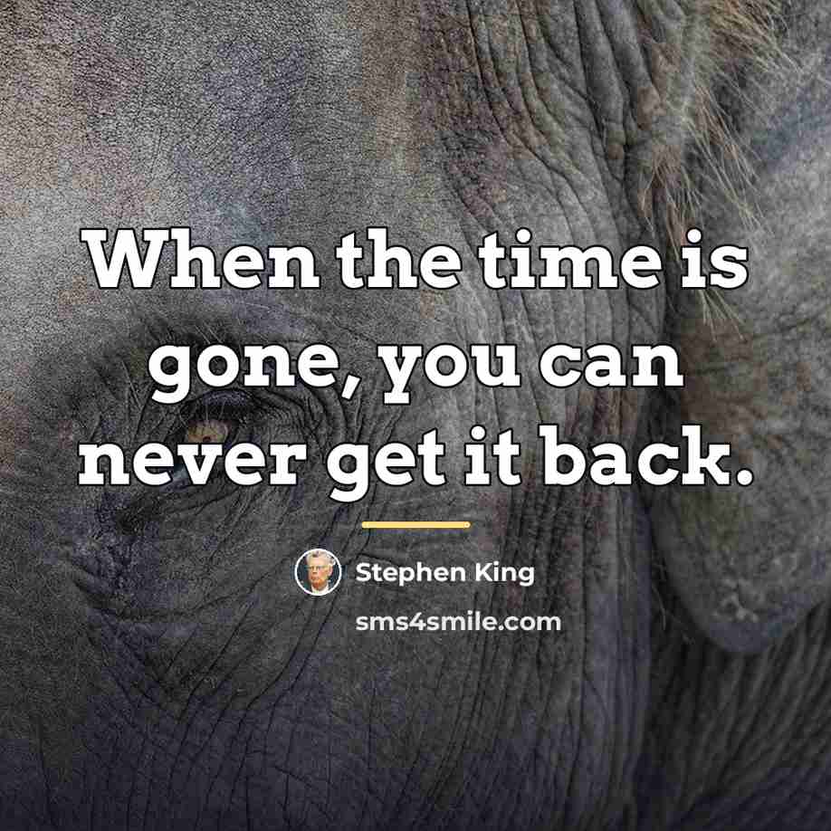 “When the time is gone, you can never get it…” quote by Stephen King