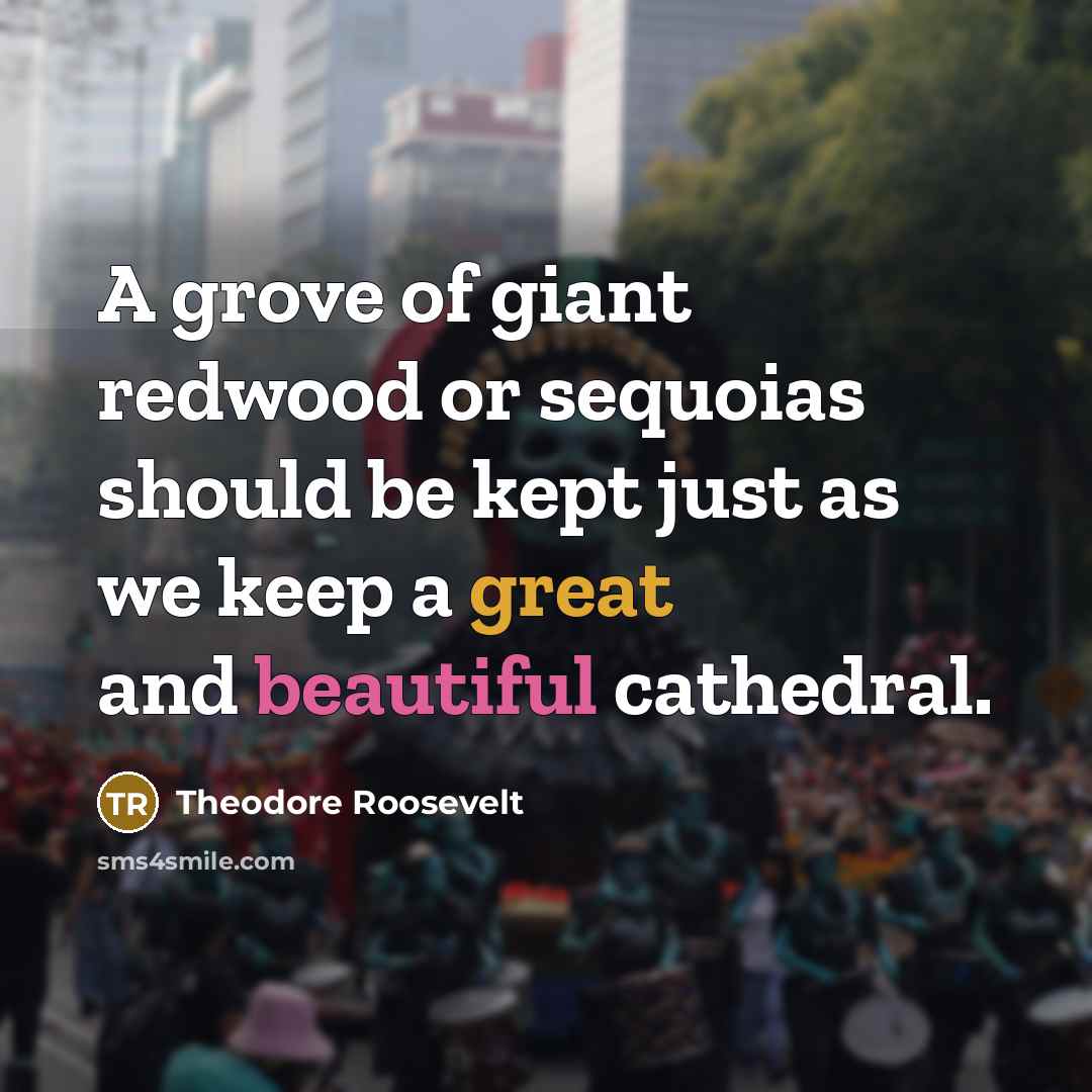 “A grove of giant redwood or sequoias should be kept…” quote by Theodore Roosevelt