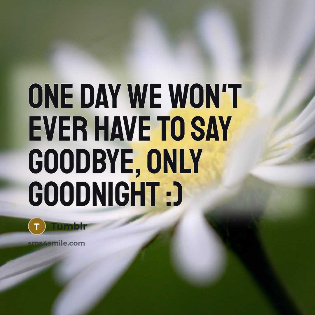 “One day we won't ever have to say goodbye, only…” quote by Tumblr