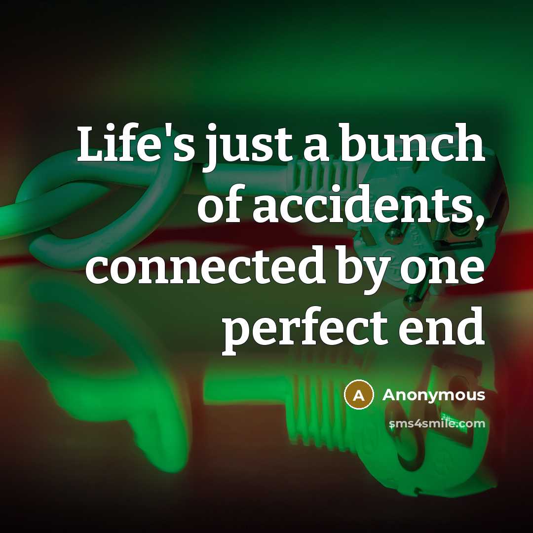 “Life's just a bunch of accidents, connected by one perfect…” quote by Anonymous