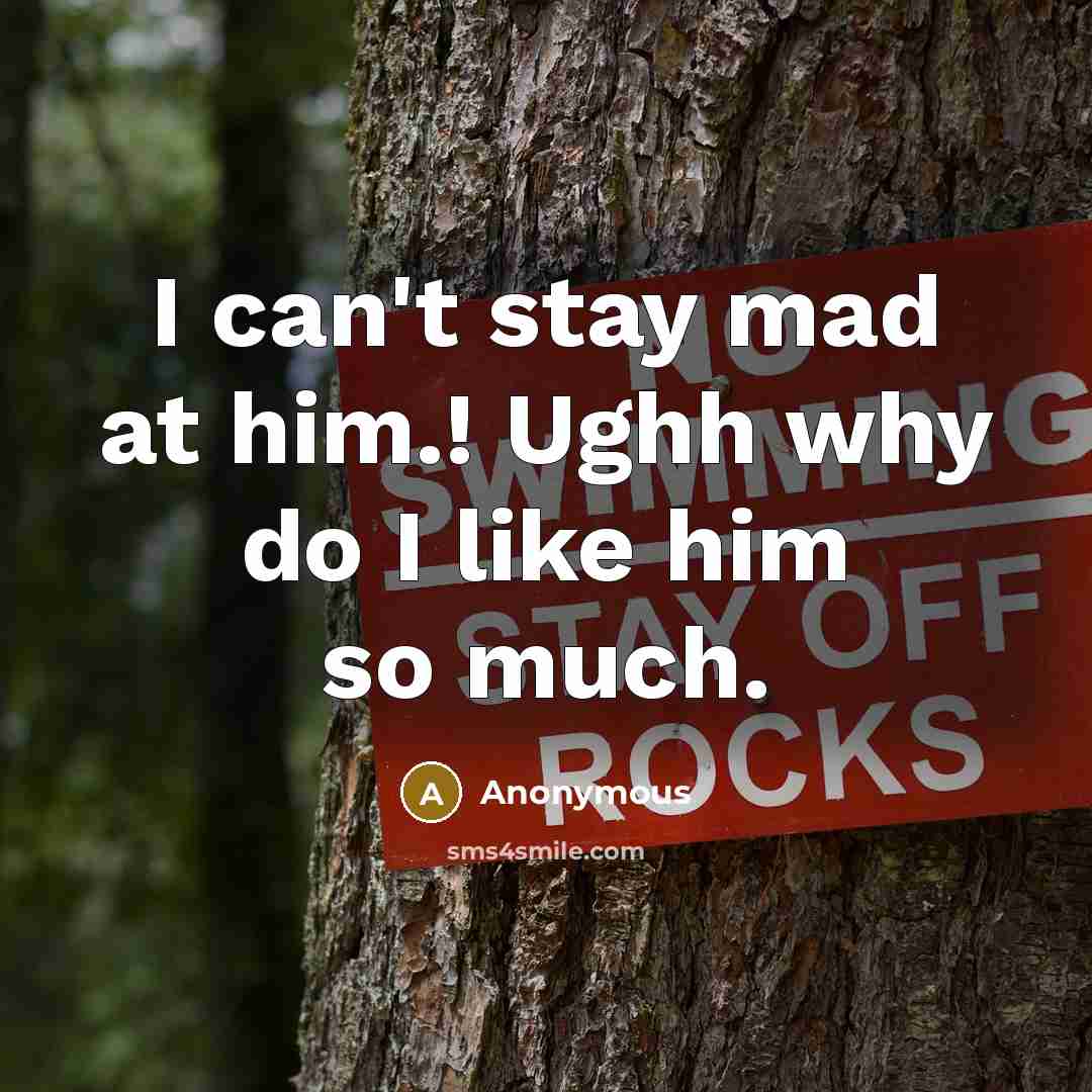 “I can't stay mad at him.! Ughh why do I like him so much.” quote by Anonymous