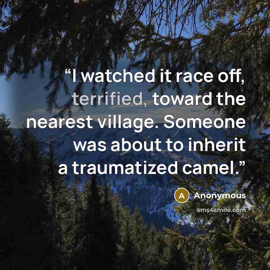 “I watched it race off, terrified, toward the nearest village. Someone was about to inherit a traumatized camel.” quote by Anonymous