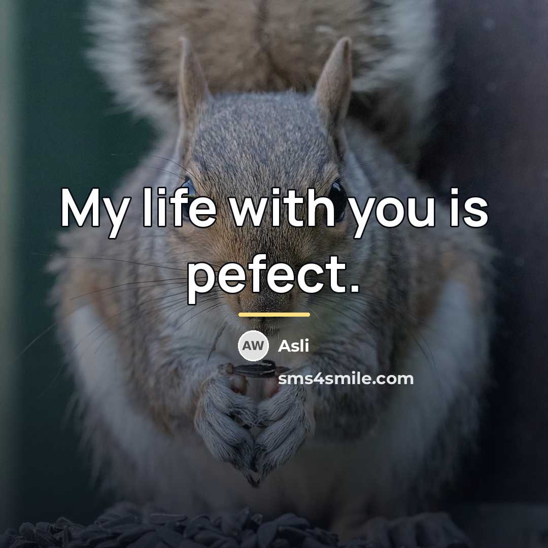 “My life with you is pefect.…” quote by Asli