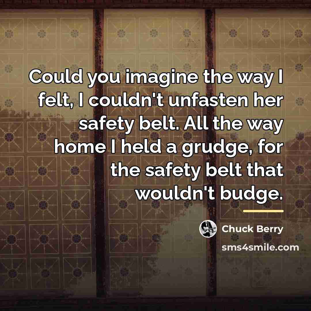 “Could you imagine the way I felt, I couldn't unfasten…” quote by Chuck Berry