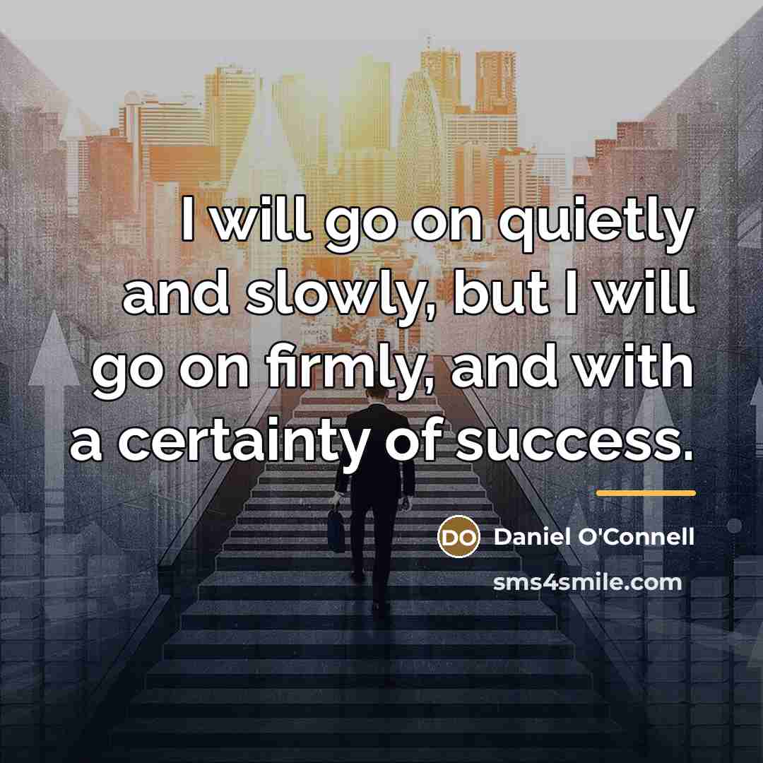 “I will go on quietly and slowly, but I will…” quote by Daniel O'Connell