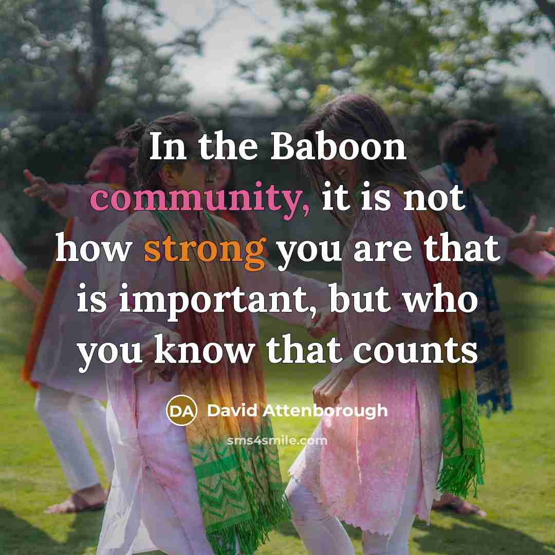“In the Baboon community, it is not how strong you are that is important, but who you know that counts” quote by David Attenborough