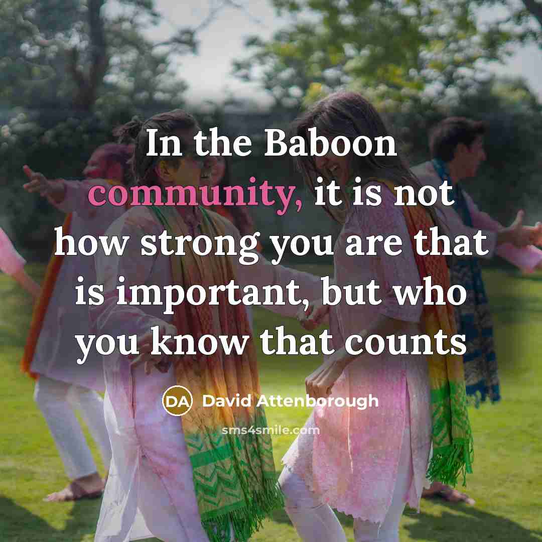 “In the Baboon community, it is not how strong you…” quote by David Attenborough