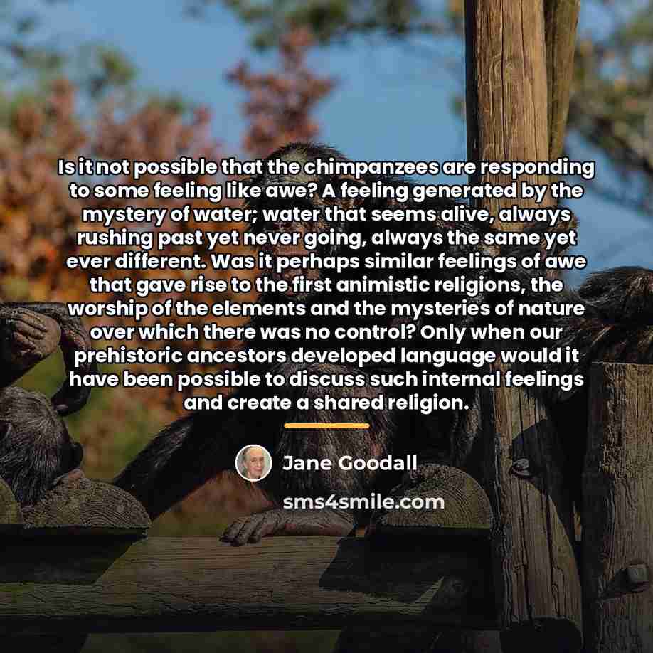 “Is it not possible that the chimpanzees are responding to…” quote by Jane Goodall