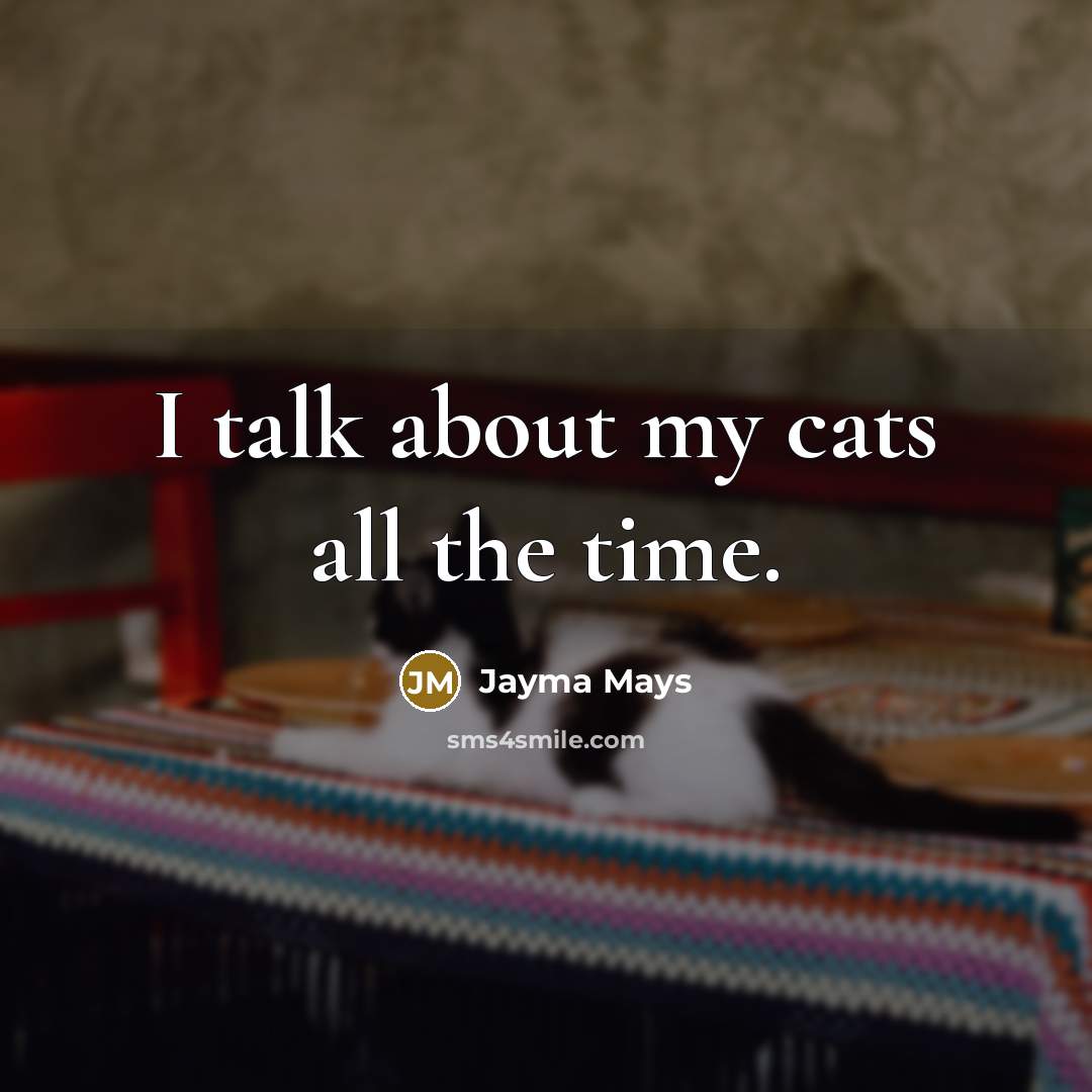 “I talk about my cats all the time.…” quote by Jayma Mays
