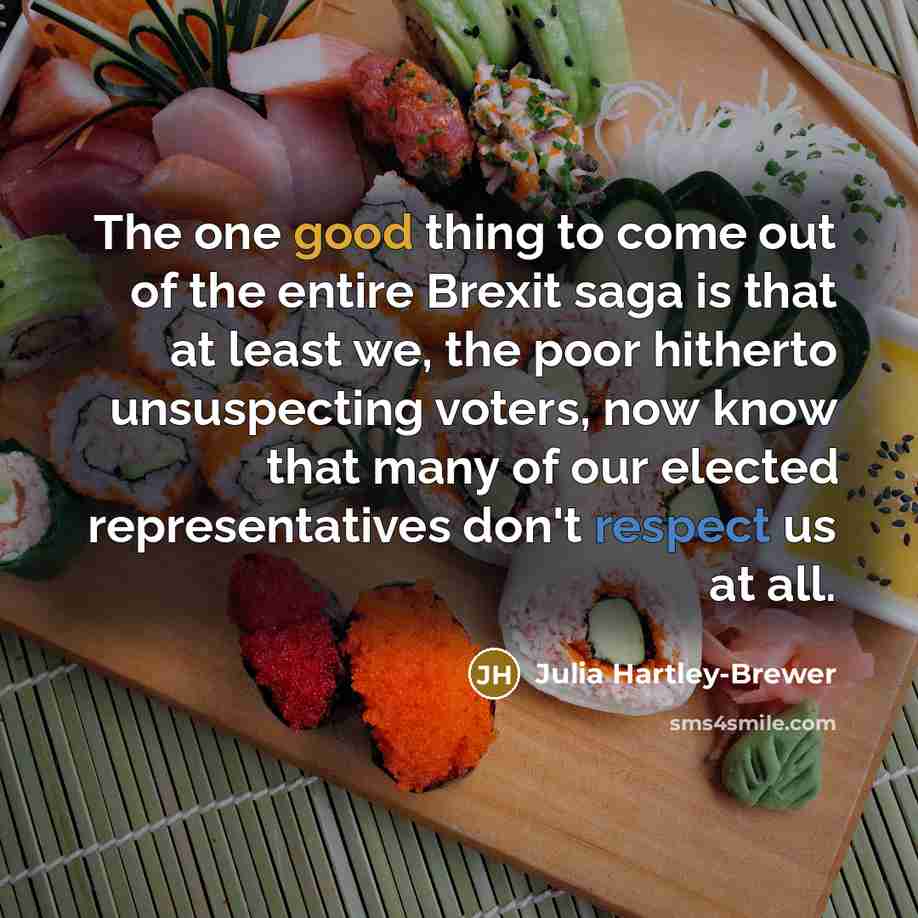 “The one good thing to come out of the entire…” quote by Julia Hartley-Brewer