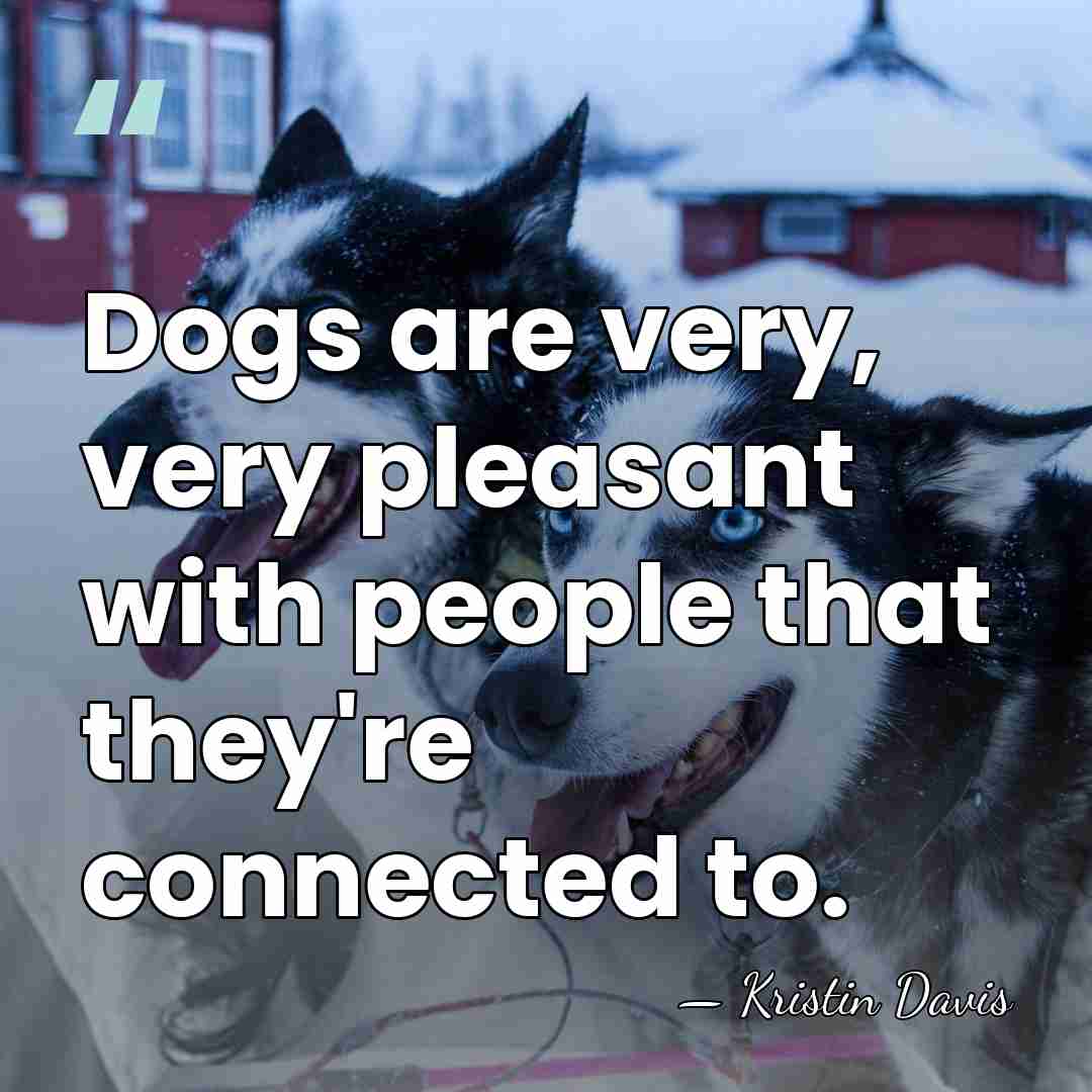 Dogs are very, very pleasant with people that they're connected to. - Kristin Davis