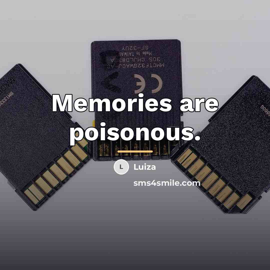 “Memories are poisonous.…” quote by Luiza