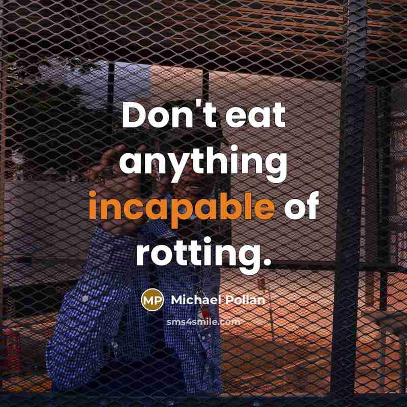 “Don't eat anything incapable of rotting.” quote by Michael Pollan