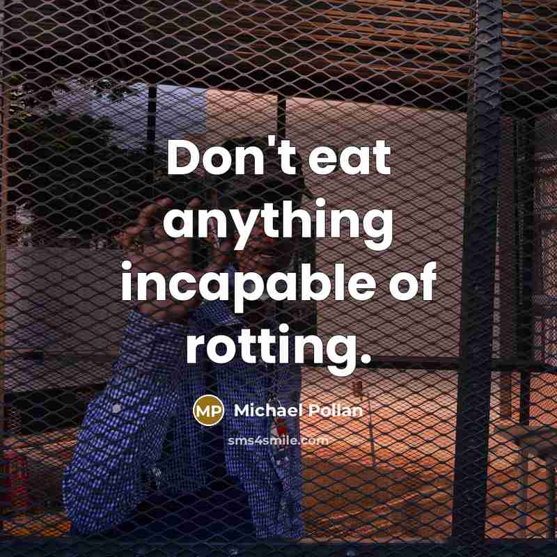 “Don't eat anything incapable of rotting.…” quote by Michael Pollan