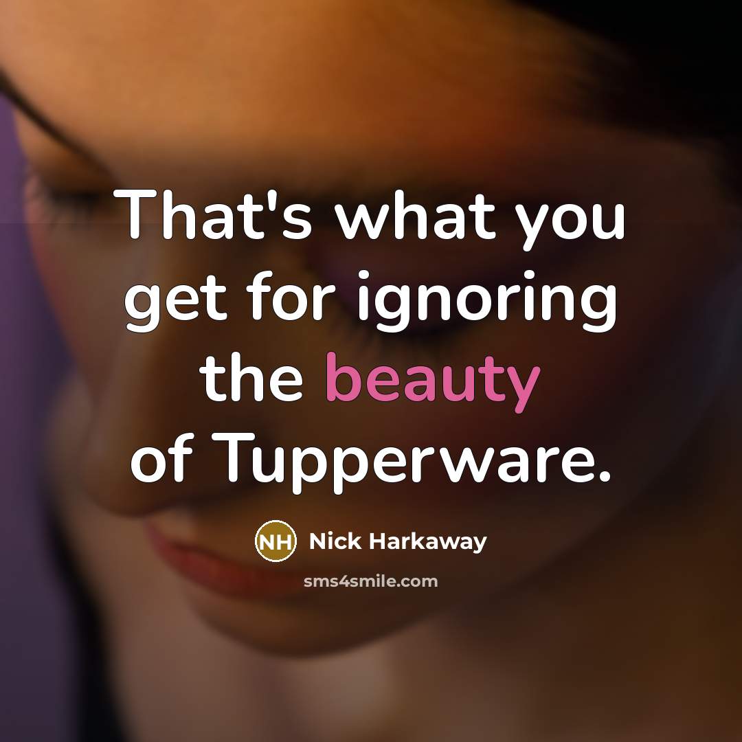 “That's what you get for ignoring the beauty of Tupperware.…” quote by Nick Harkaway