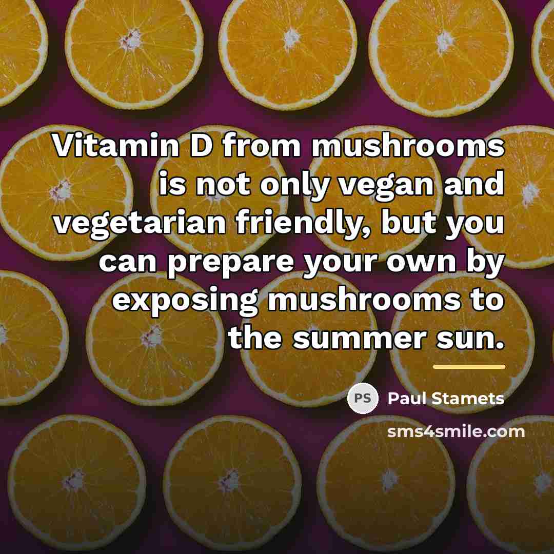 “Vitamin D from mushrooms is not only vegan and vegetarian…” quote by Paul Stamets