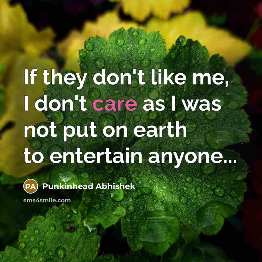 “If they don't like me, I don't care as I…” quote by Punkinhead Abhishek