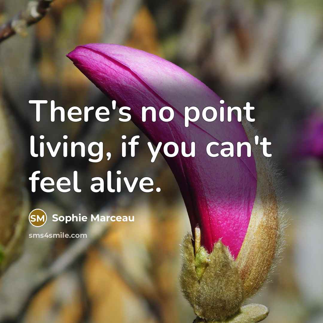 “There's no point living, if you can't feel alive.…” quote by Sophie Marceau