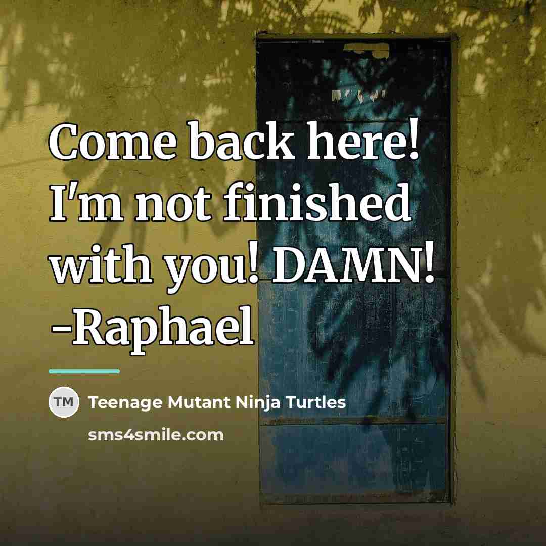 “Come back here! I'm not finished with you! DAMN! -Raphael…” quote by Teenage Mutant Ninja Turtles