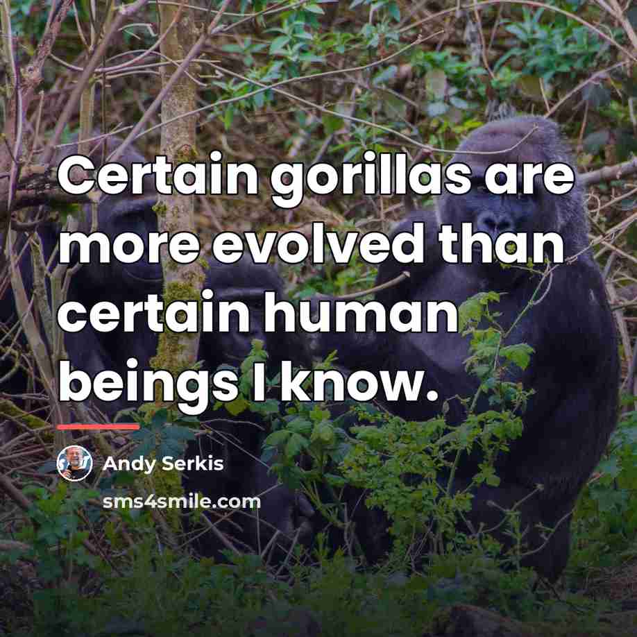 “Certain gorillas are more evolved than certain human beings I…” quote by Andy Serkis