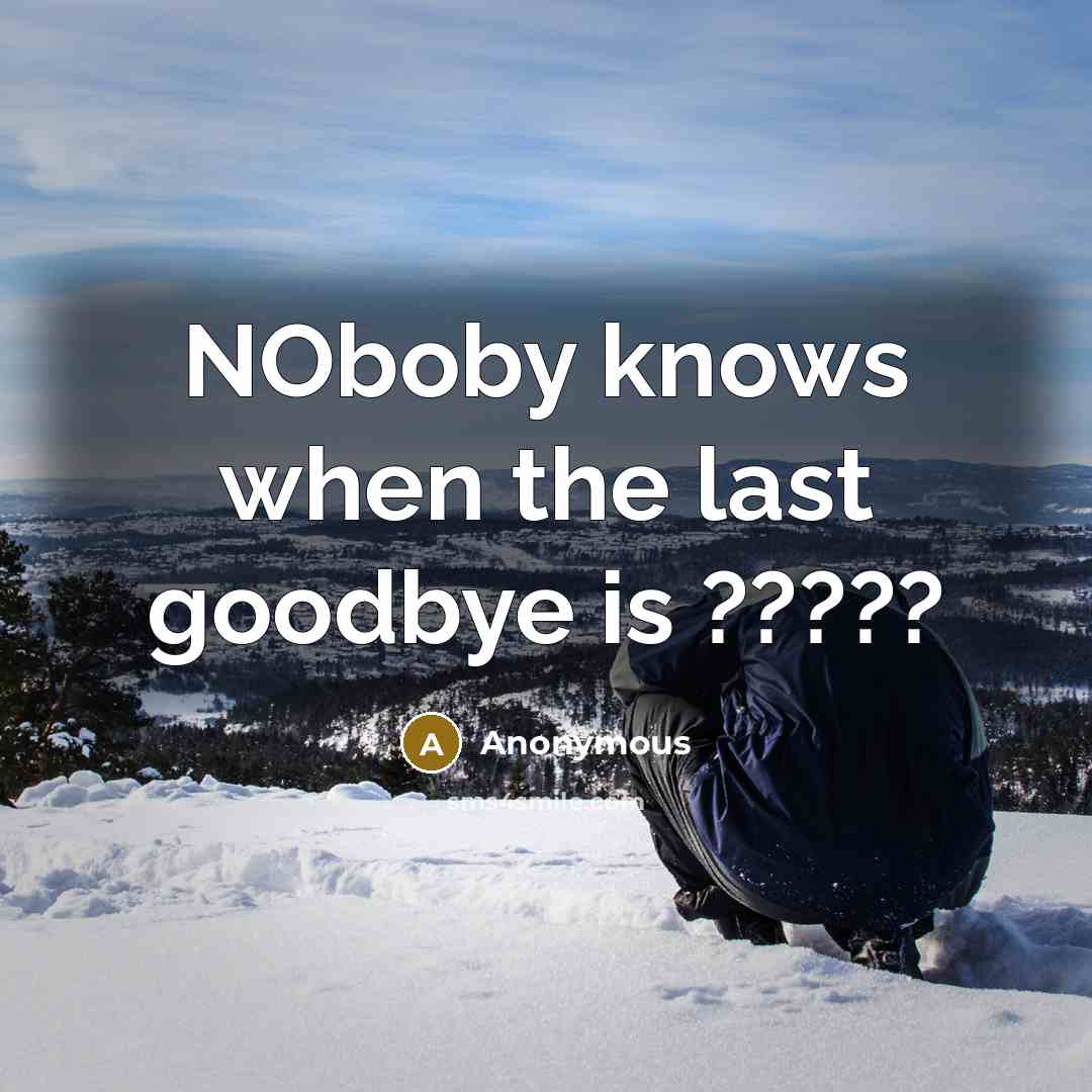 “NOboby knows when the last goodbye is ?????” quote by Anonymous