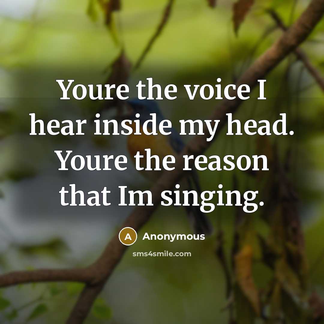 “Youre the voice I hear inside my head. Youre the reason that Im singing.” quote by Anonymous