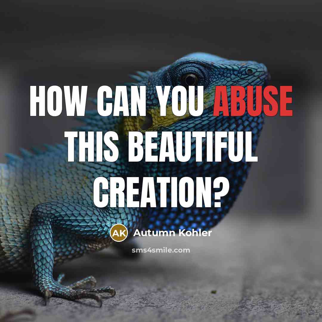 “How can you abuse this beautiful creation?…” quote by Autumn Kohler