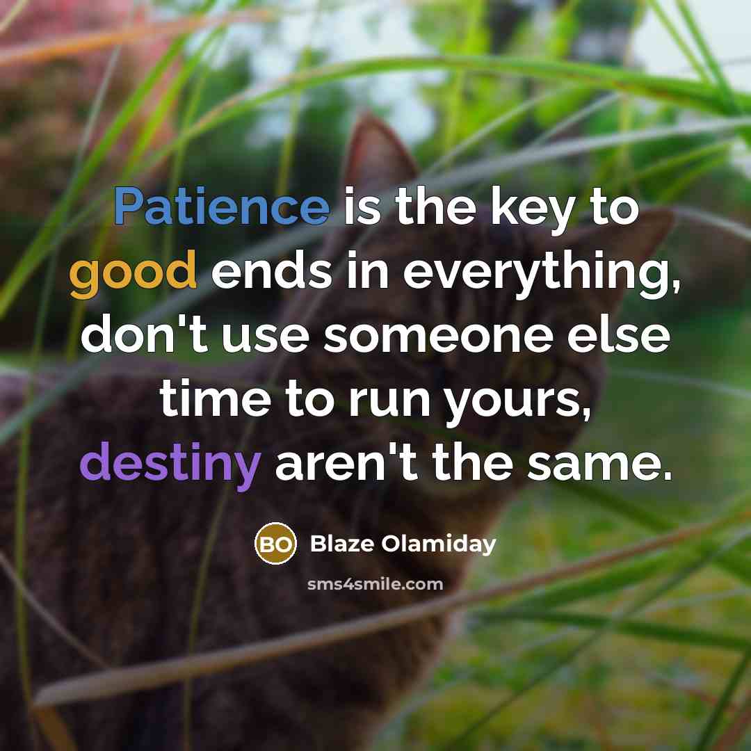 “Patience is the key to good ends in everything, don't use someone else time to run yours, destiny aren't the same.” quote by Blaze Olamiday
