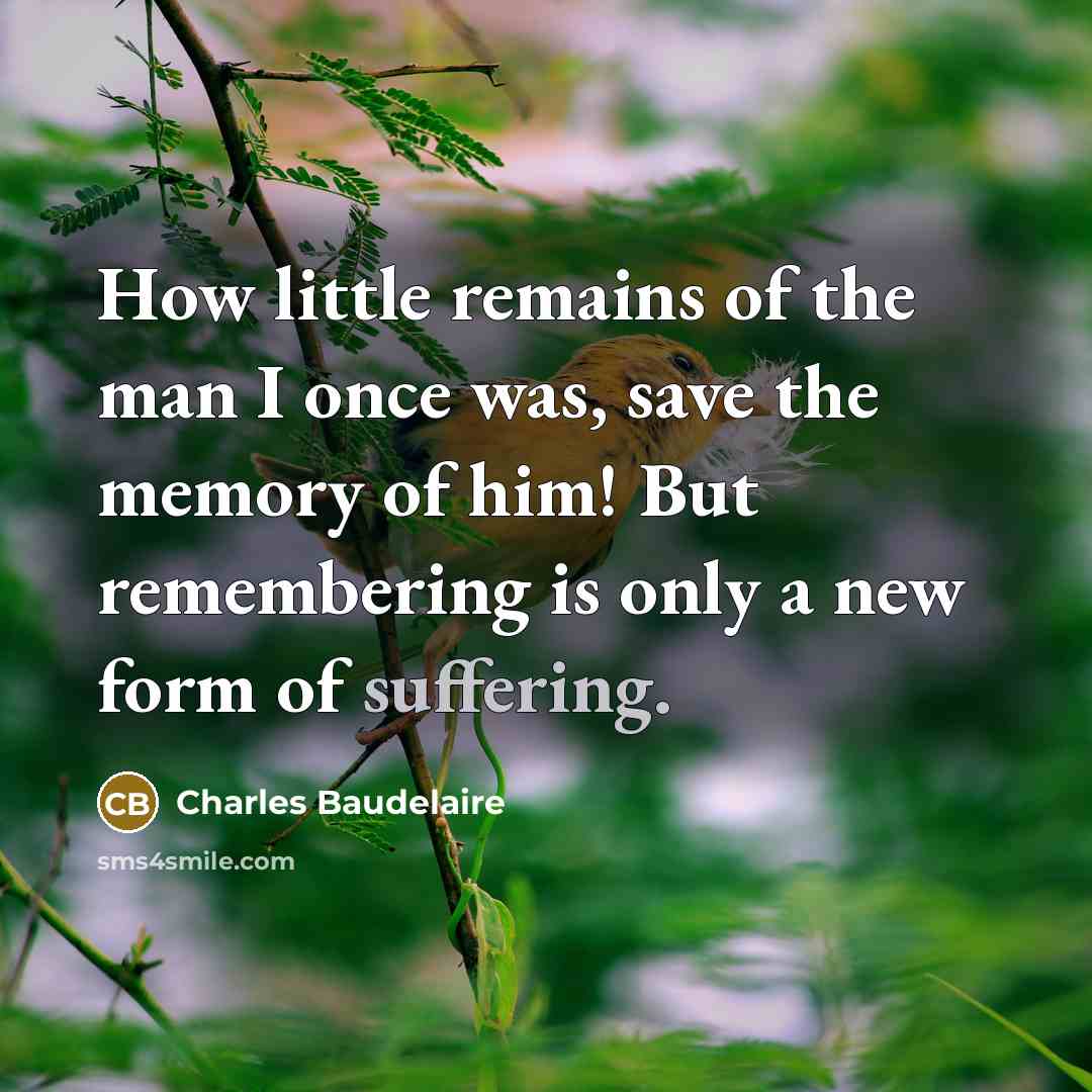 “How little remains of the man I once was, save…” quote by Charles Baudelaire