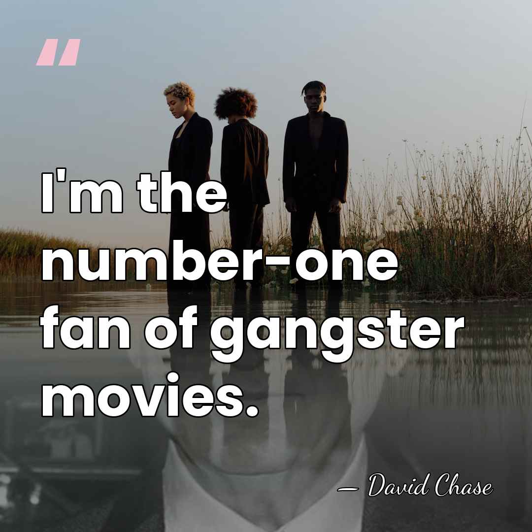 I'm the number-one fan of gangster movies. - David Chase