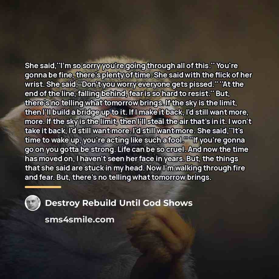 “She said,''I'm so sorry you're going through all of this.''…” quote by Destroy Rebuild Until God Shows