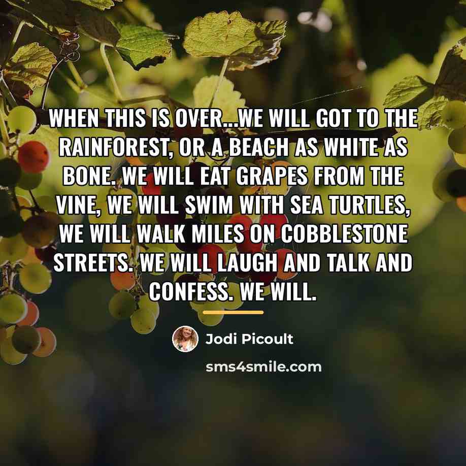 “When this is over...we will got to the rainforest, or…” quote by Jodi Picoult