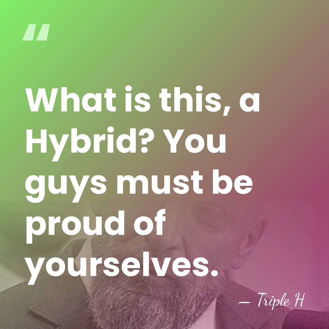 What is this, a Hybrid? You guys must be proud of yourselves. - Triple H