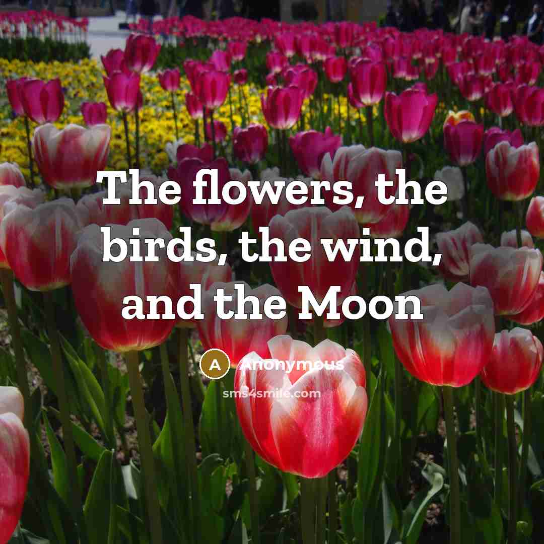 “The flowers, the birds, the wind, and the Moon…” quote by Anonymous