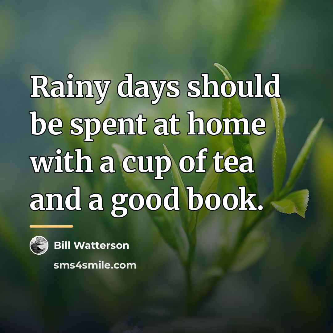 “Rainy days should be spent at home with a cup…” quote by Bill Watterson