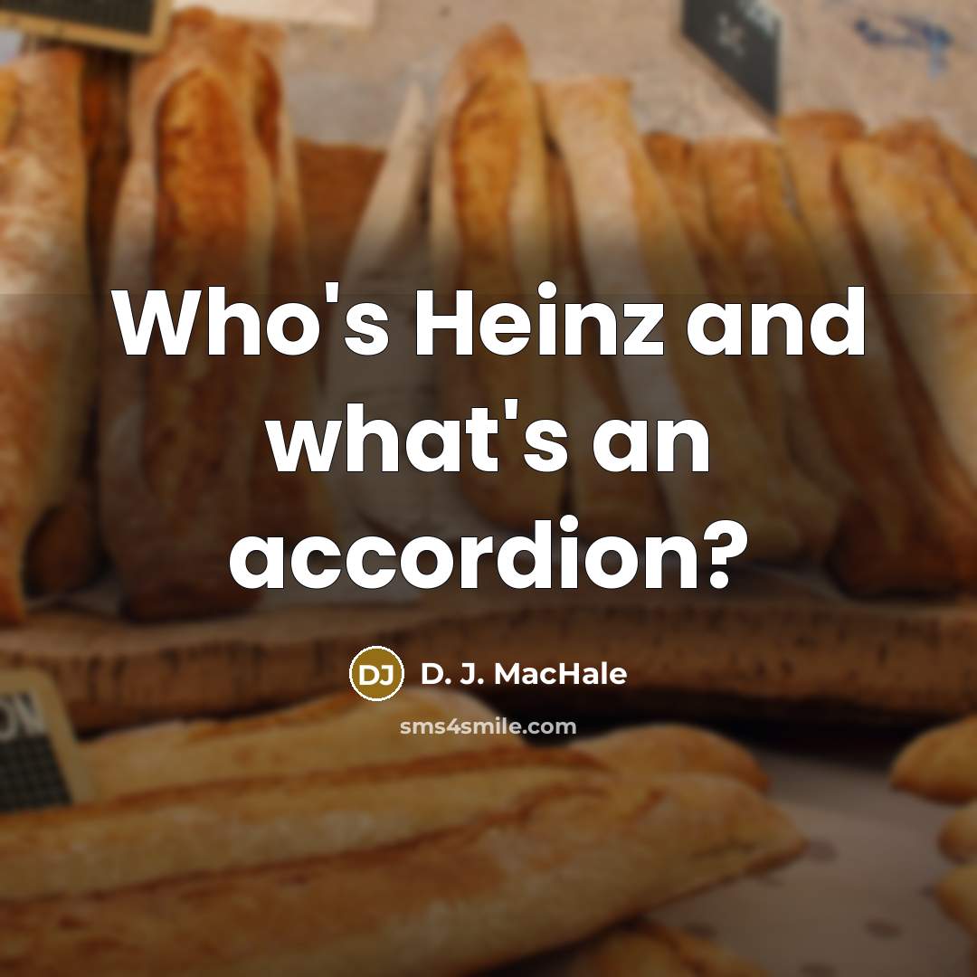 “"Who's Heinz and what's an accordion?"…” quote by D. J. MacHale