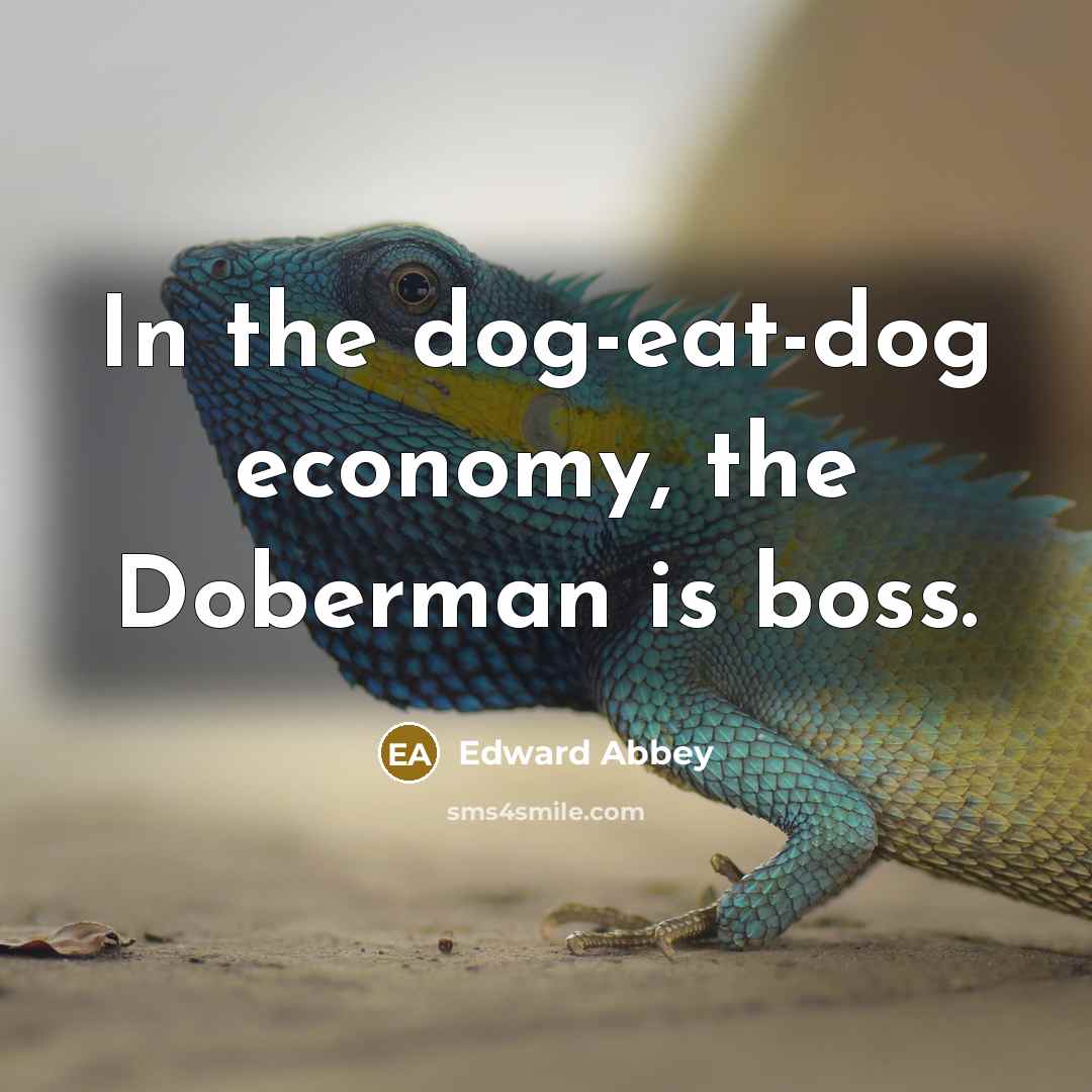 “In the dog-eat-dog economy, the Doberman is boss.” quote by Edward Abbey
