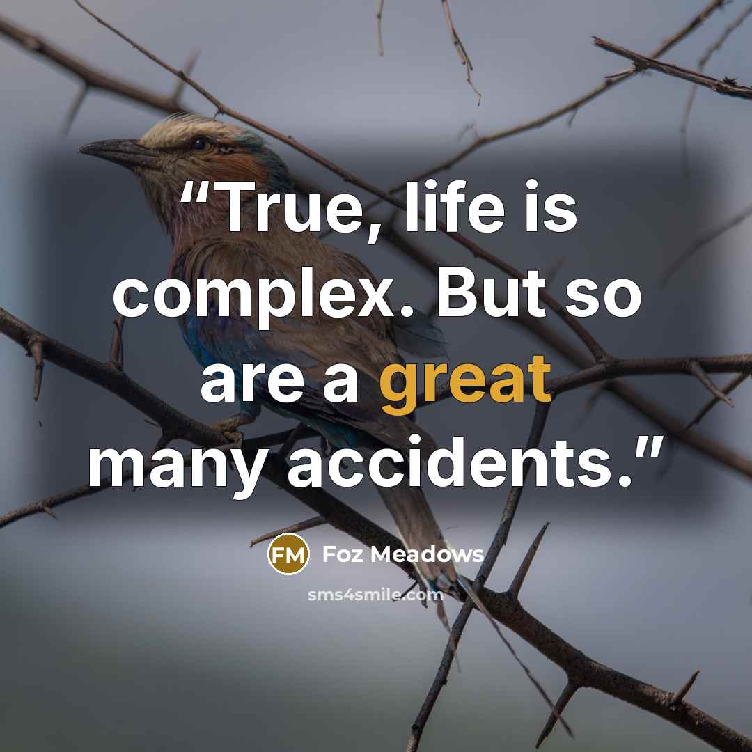“True, life is complex. But so are a great many accidents.” quote by Foz Meadows