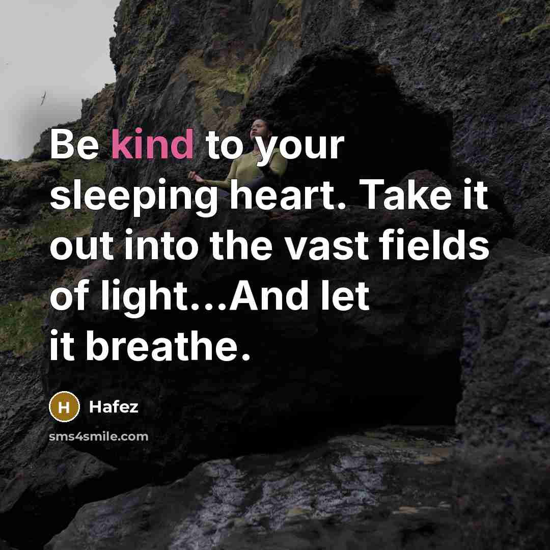 “Be kind to your sleeping heart. Take it out into…” quote by Hafez