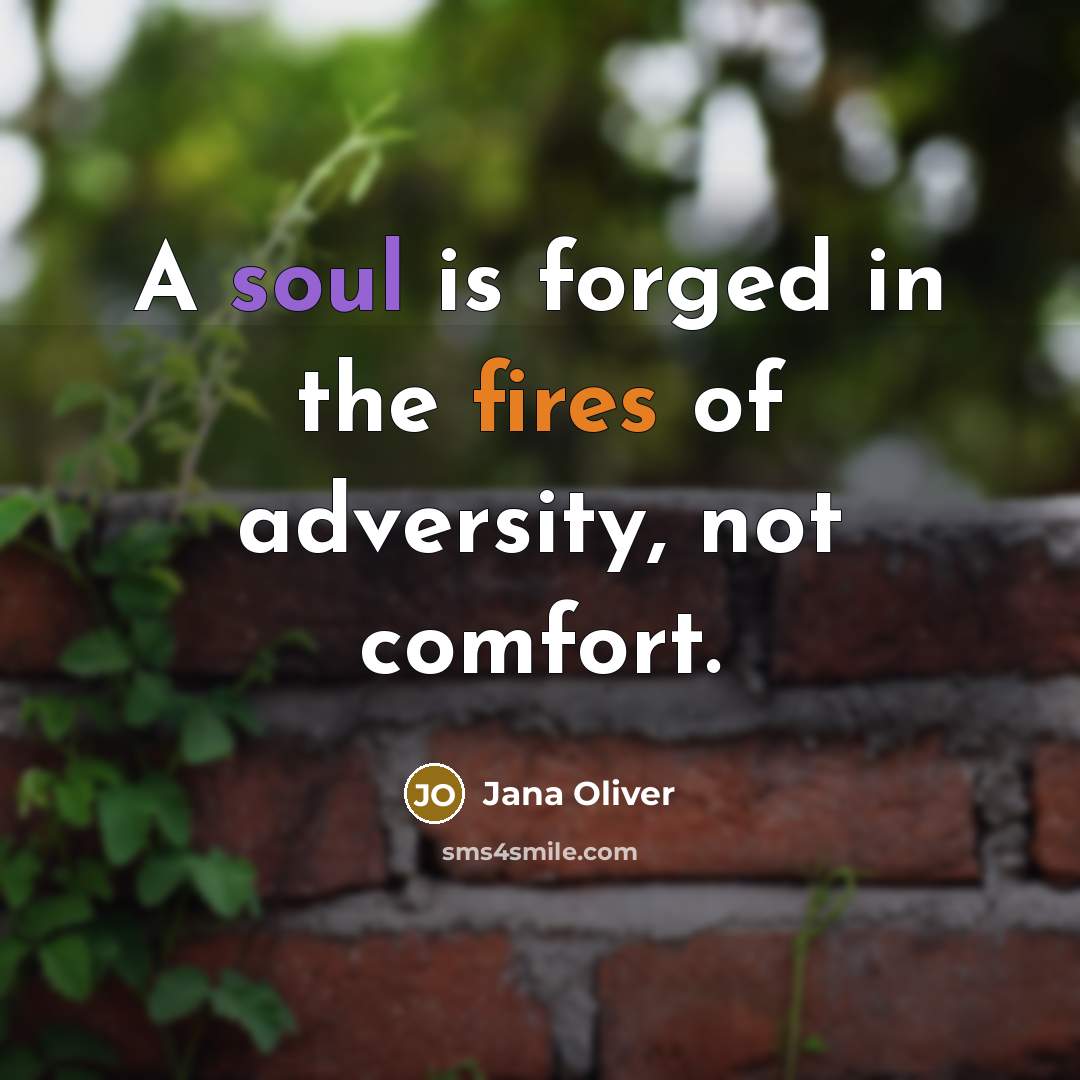 “A soul is forged in the fires of adversity, not…” quote by Jana Oliver
