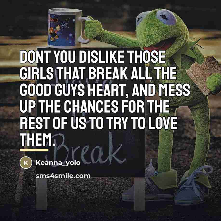 “Dont you dislike those girls that break all the good…” quote by Keanna_yolo