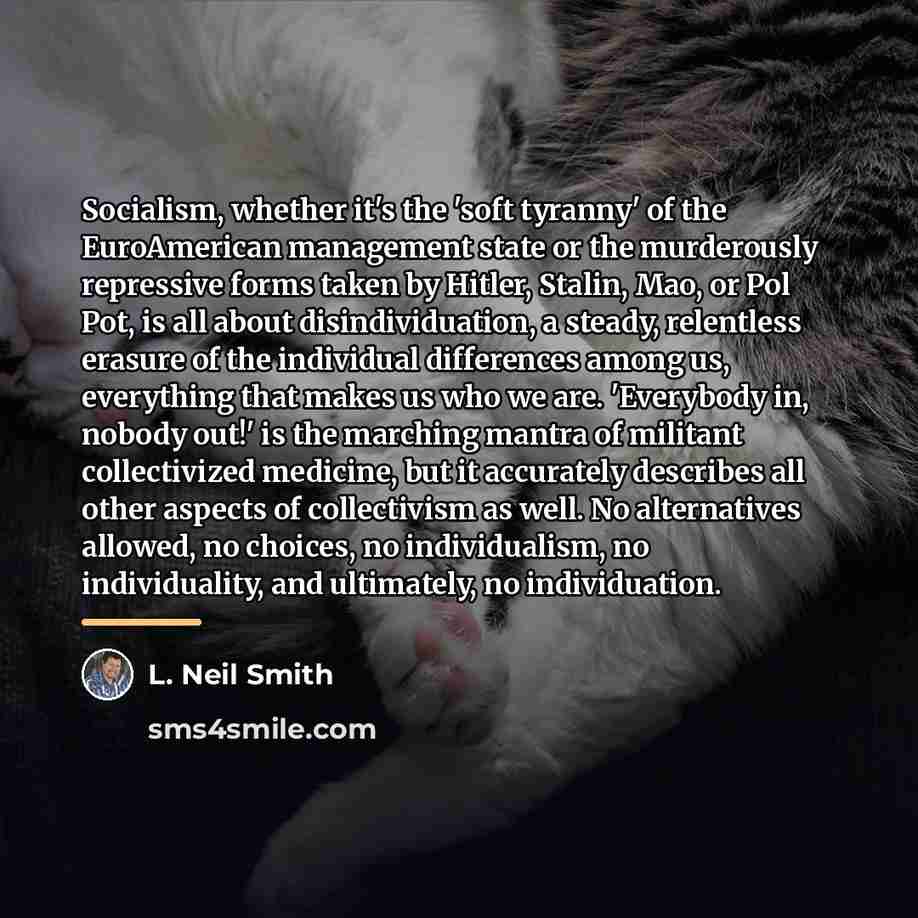 “Socialism, whether it's the 'soft tyranny' of the EuroAmerican management…” quote by L. Neil Smith