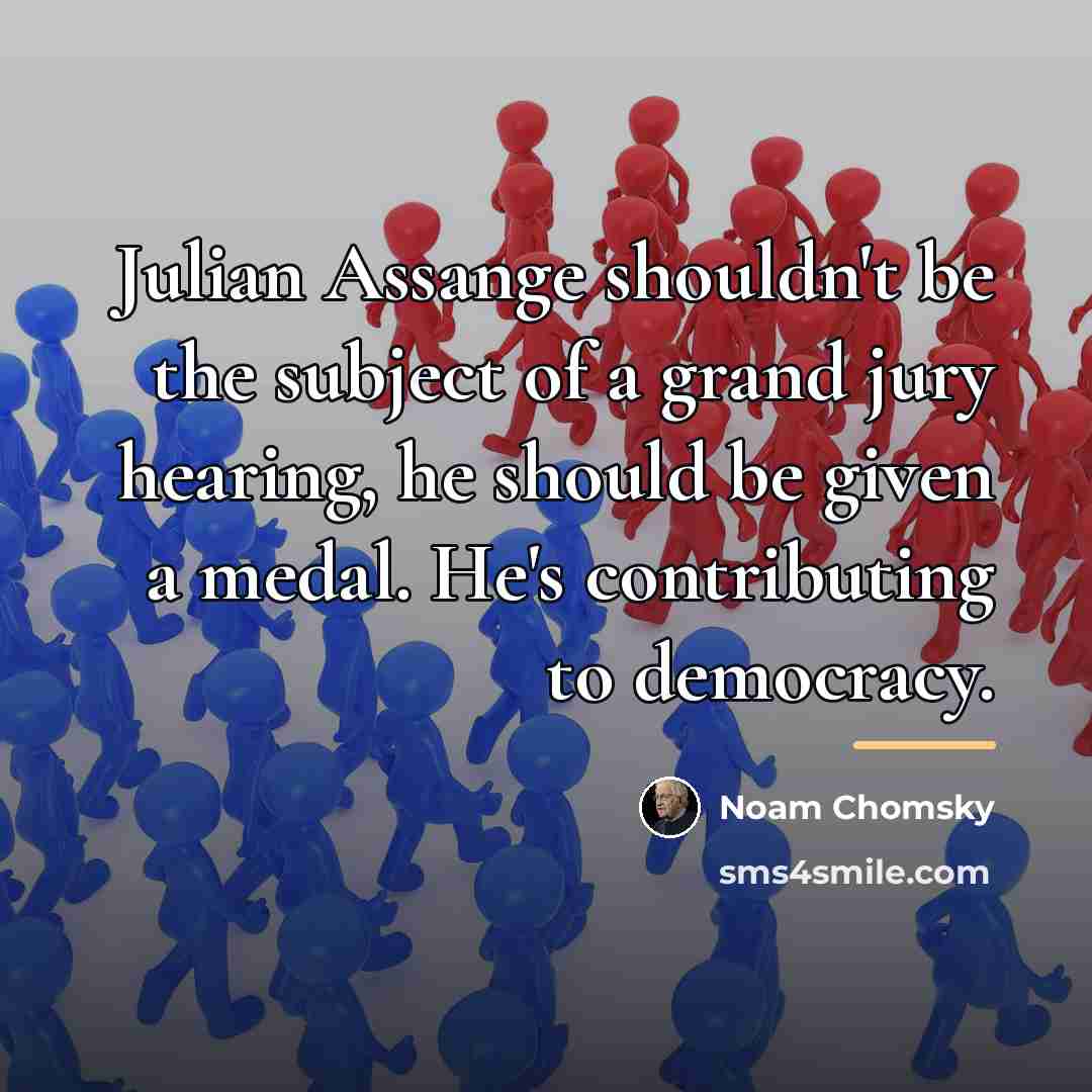 “Julian Assange shouldn't be the subject of a grand jury…” quote by Noam Chomsky