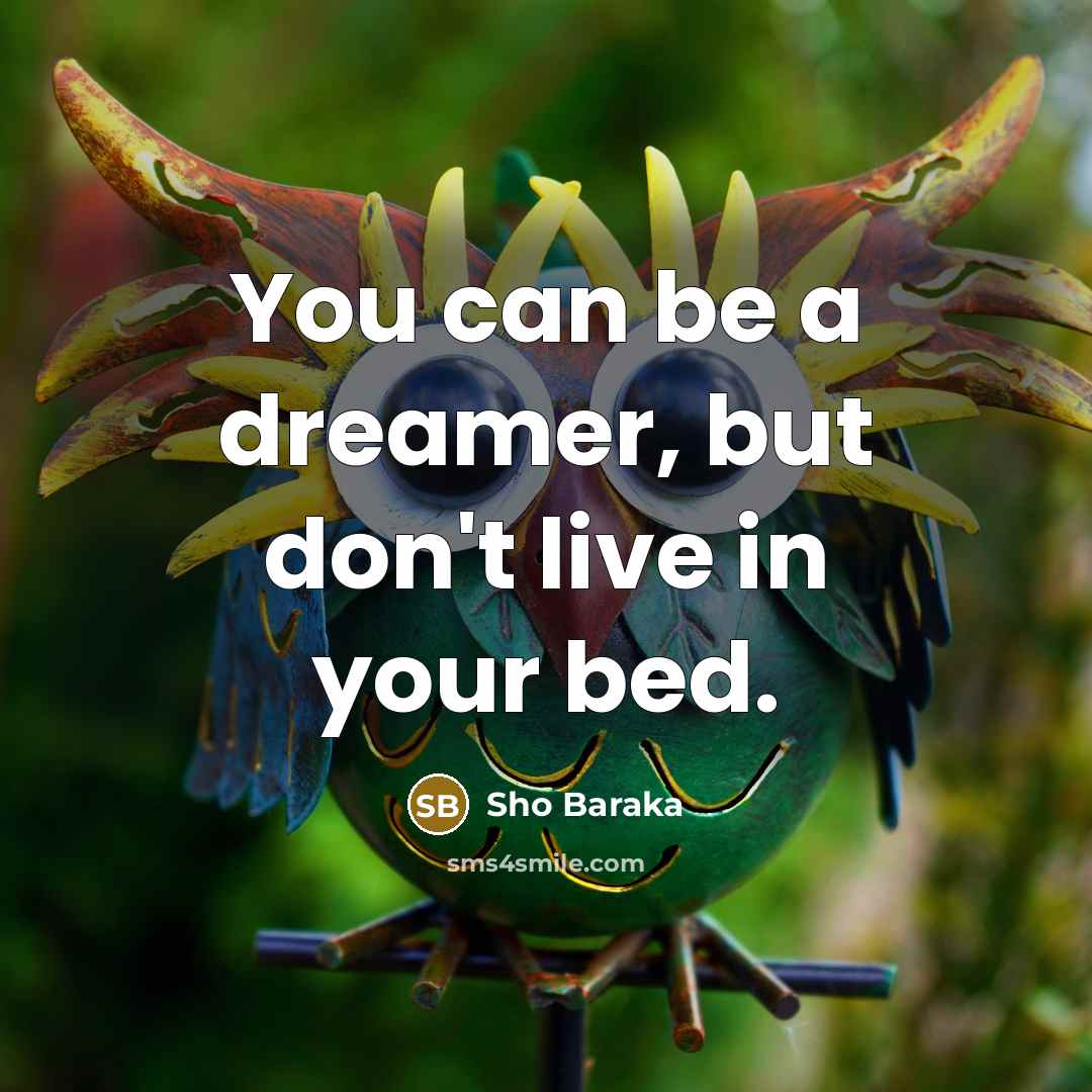 “You can be a dreamer, but don't live in your…” quote by Sho Baraka