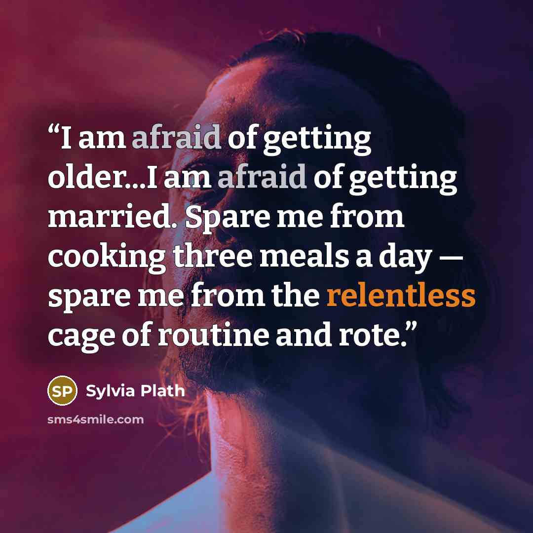 “I am afraid of getting older...I am afraid of getting married. Spare me from cooking three meals a day — spare me from the relentless cage of routine and rote.” quote by Sylvia Plath