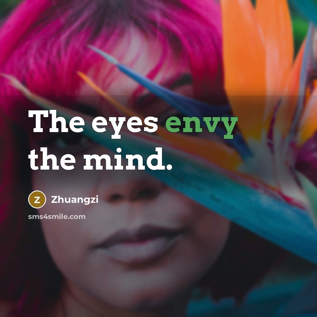 “The eyes envy the mind.…” quote by Zhuangzi