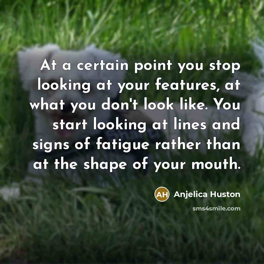 “At a certain point you stop looking at your features,…” quote by Anjelica Huston