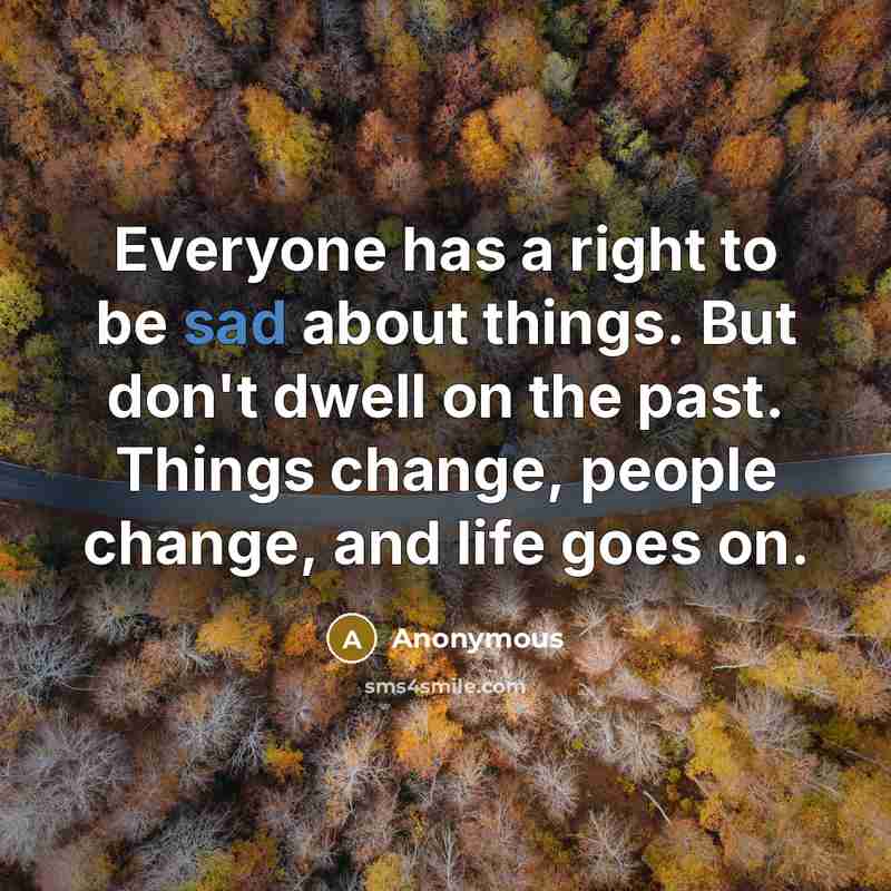 “Everyone has a right to be sad about things. But…” quote by Anonymous
