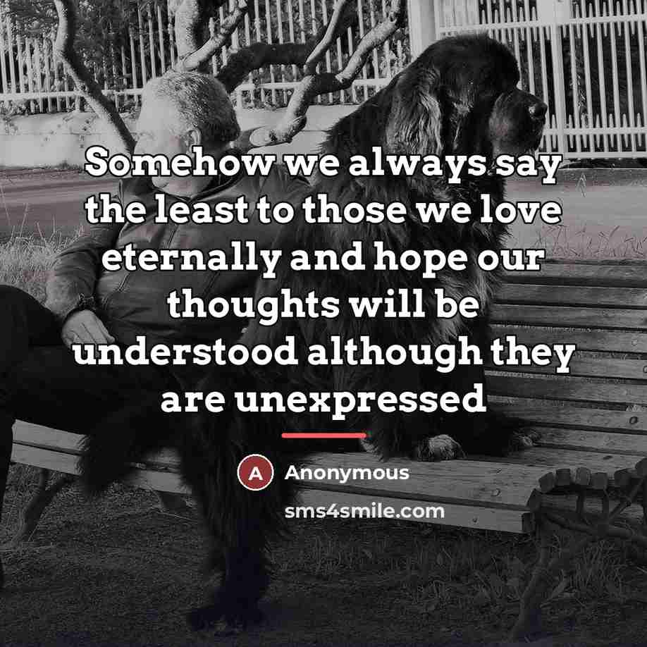 “Somehow we always say the least to those we love…” quote by Anonymous